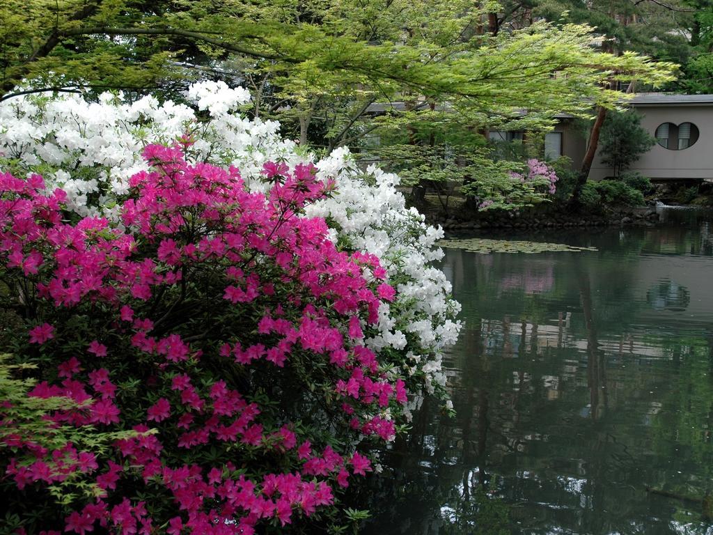 Matsusaki Номи Экстерьер фото