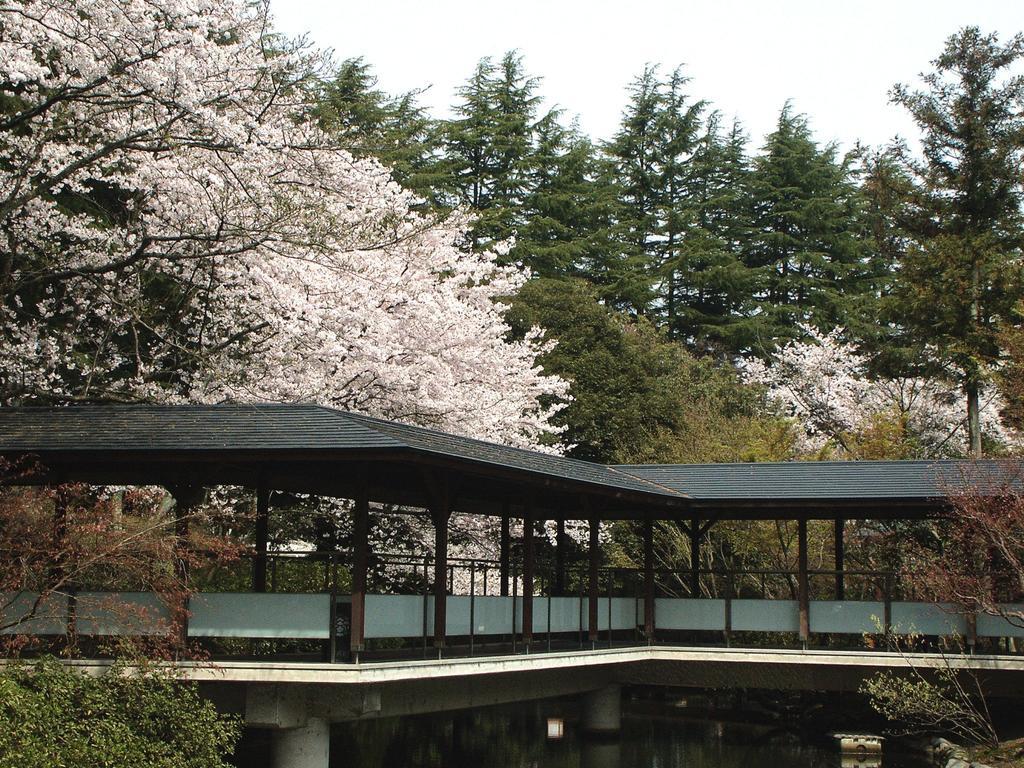 Matsusaki Номи Экстерьер фото