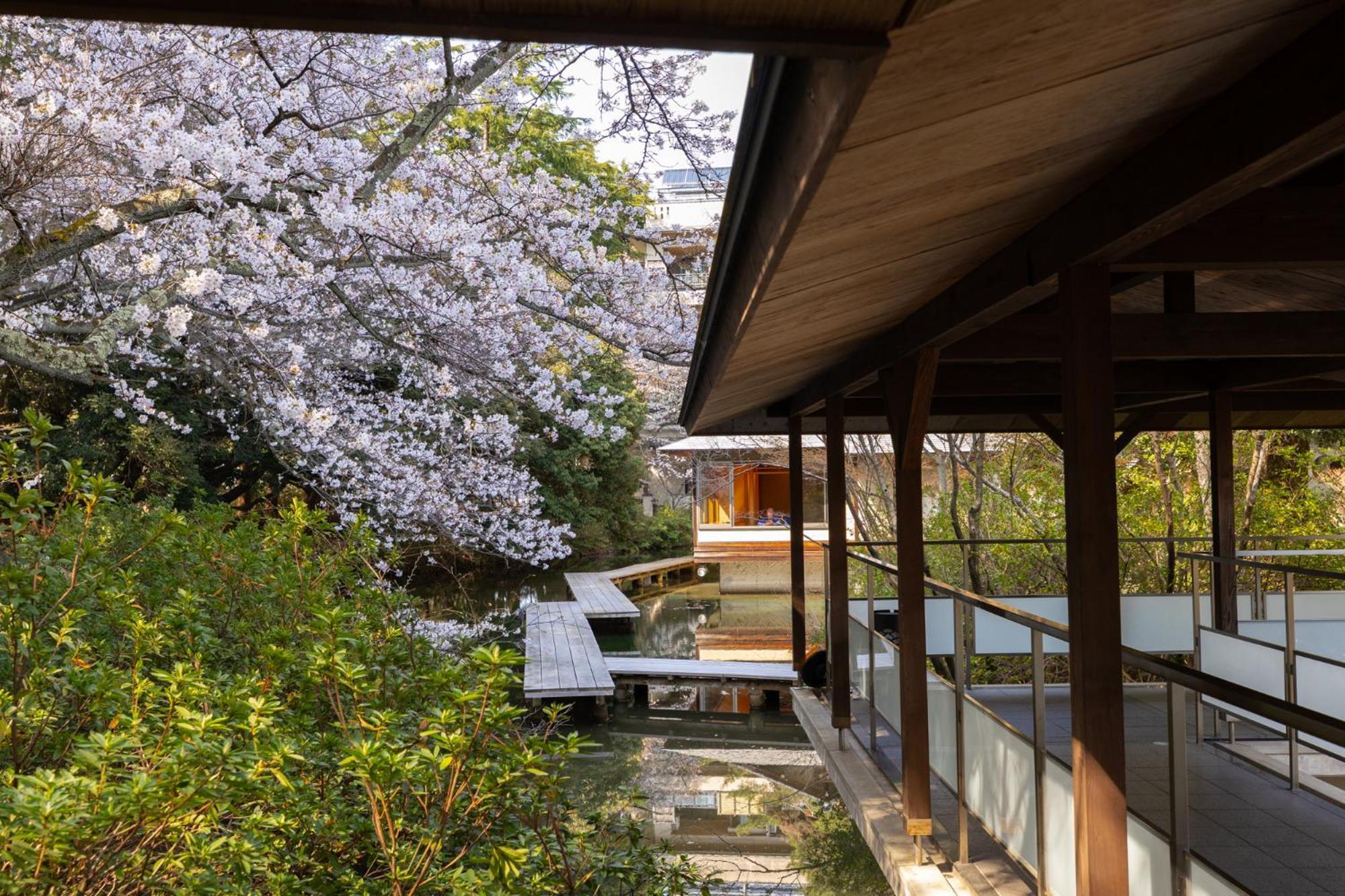 Matsusaki Номи Экстерьер фото